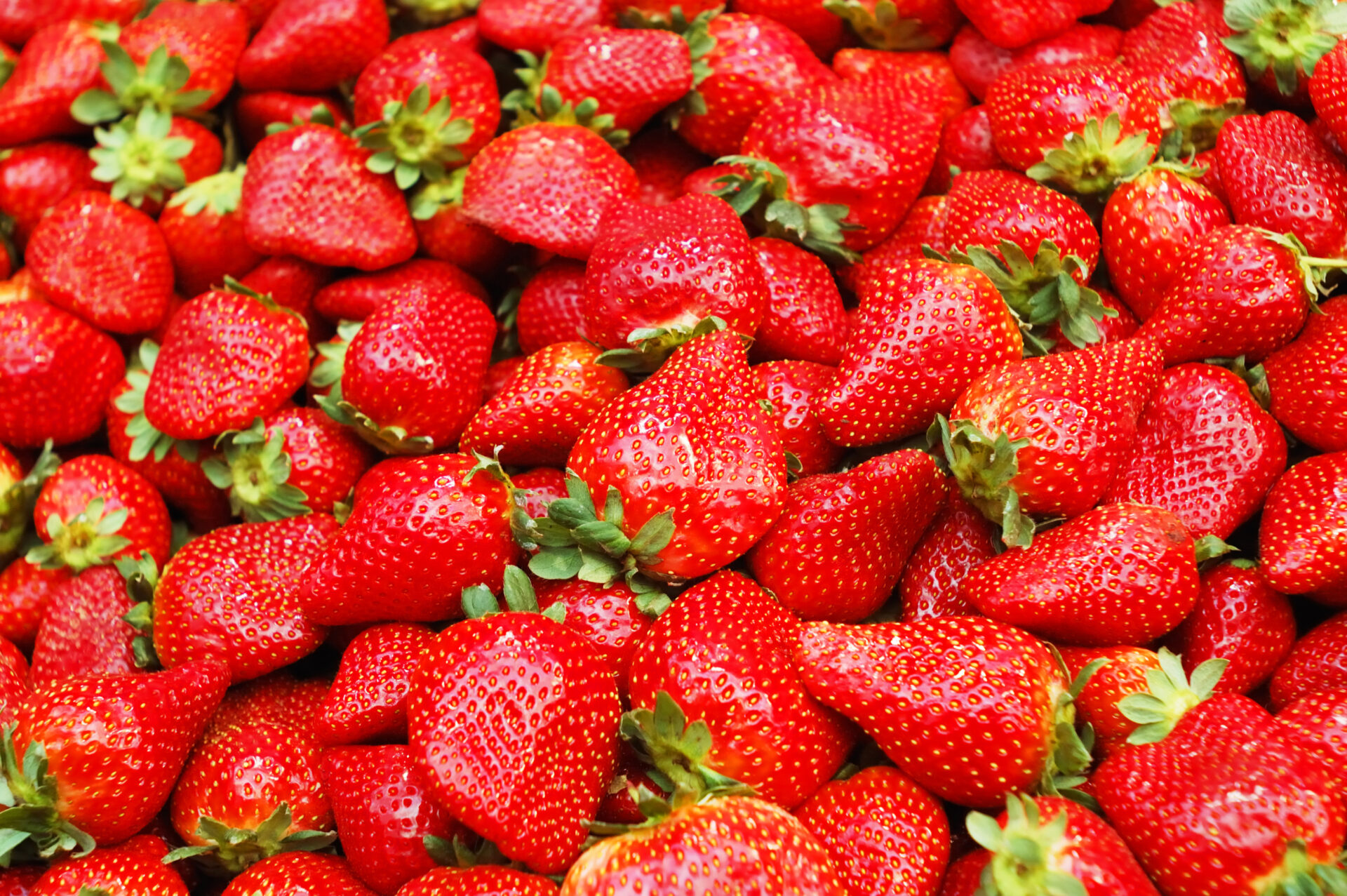 Erdbeeren - süß und fruchtig den Sommer genießen! - Bauer Würfl